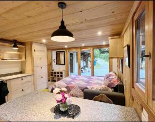 Mini Chalet vue montagne - 8