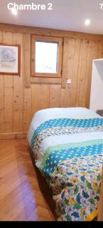 Mini Chalet vue montagne - 3