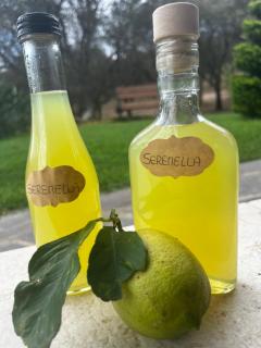 Serenella - Telti - 4
