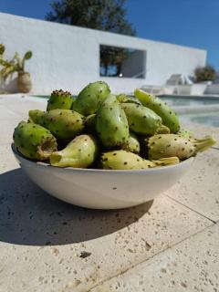 Casa dos Bonitos - Santa Susana - 4