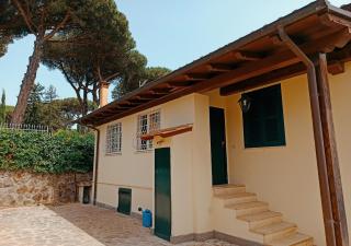 Villa Tusculum - Duplex apartment - Grottaferrata - 6