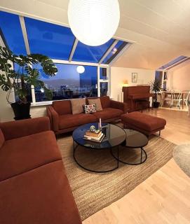 Penthouse apartment in city RVK with unique view - Reykjavik - 0