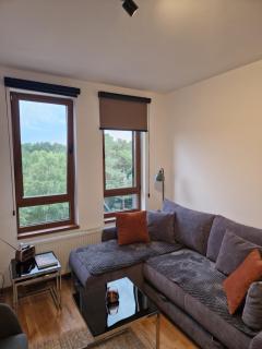 Divcinova - Apartman Gorski - Divčibare - 6