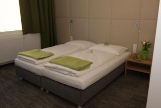 Hubertushof Fromwald Hotel und Gasthof - Bad Fischau - 9