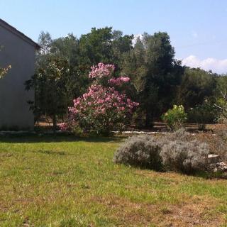 villa soleluna, villa de charme, lumineuse et cosy - Bonifacio - 6