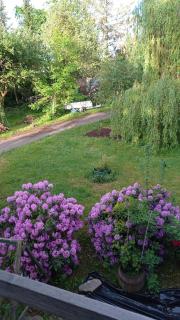 Privatzimmer im Landhaus mit großem Garten und Parkplatz - Reckershausen - 8