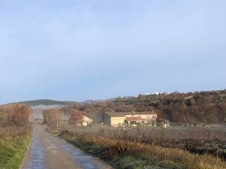 Mas du 18e siècle au calme entouré de champs de lavandes - Pierrerue - 4