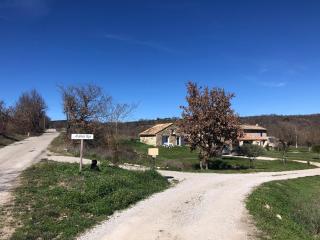 Mas du 18e siècle au calme entouré de champs de lavandes - Pierrerue - 3
