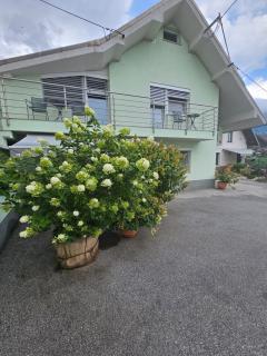 Apartments Vesna - 9