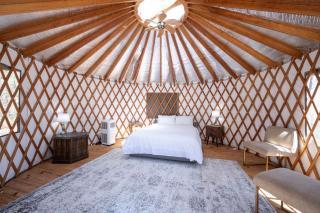 EagleWatch Mountaintop Yurt - Bryson City - 6