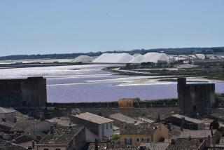 La Cigale - Climatisation - proche mer - Calme - Villeveyrac - 8