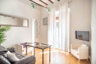 Beautiful and bright- 1Bd 1Bth- Center - Sevilha - 7