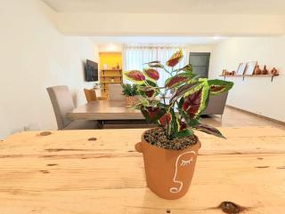 5Bedroom house in Vibrant Neighborhood Jalatlaco - 2