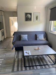 Videdal apartment 2 rooms - Own entrance & Free Parking - 9