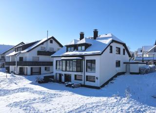 Romantikchalet Neuastenberg/Winterberg - Winterberg - 6