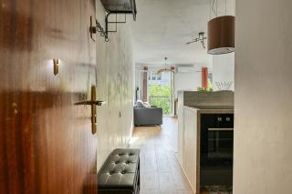 Oiseaux du Paradis - 9