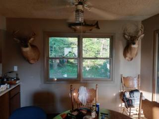 Kevins spare bedroom - 1