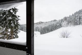 Romantikhütte Neuastenberg - Winterberg - 8