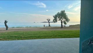 EluDes Seaside Suites - 6