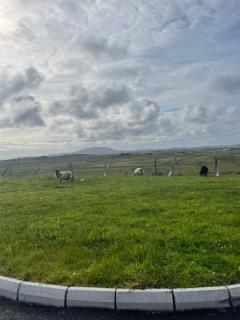 Ballyconneely house - 2