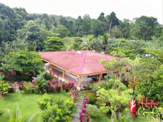 HOPE GARDEN, SARAPIQUÍ, We connect you with the Sarapiquí tropical forest - Sarapiquí - 5