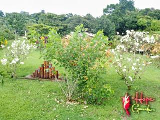 HOPE GARDEN, SARAPIQUÍ, We connect you with the Sarapiquí tropical forest - Sarapiquí - 1