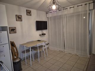 Appartement 4 couchage Saint Lary Soulan - Saint-Lary-Soulan - 3