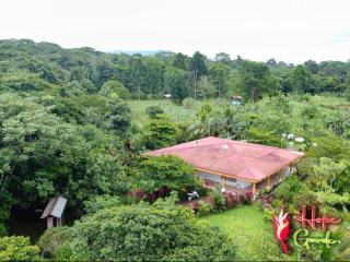 HOPE GARDEN, SARAPIQUÍ, We connect you with the Sarapiquí tropical forest - Sarapiquí - 6