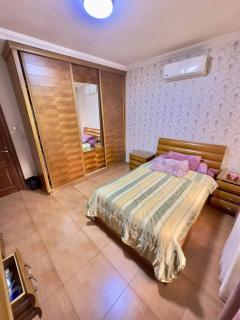 olga 300 apertment - 5