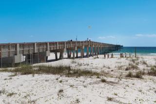 Fabulous Modern Beach House - 4BR, 35BA: POOL/Beach View & Access/Balcony - Panama City Beach - 8