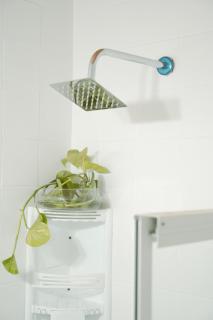 Calma Santa Ana Parrilla y Piscina - 1