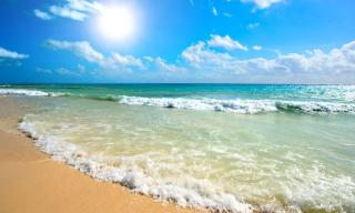 Sole Mar - Sunny Beach - 4