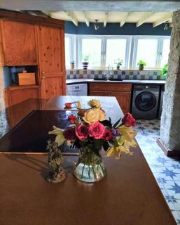 Open Plan 3 Bedrooms Cornish stone house cottage - 6