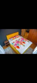 Ella Apartman Bijeljina - Bijeljina - 0