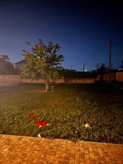 Tulcea km8 Relax House - Tulcea - 1