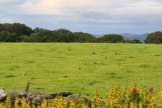 Quakers Field View - 5
