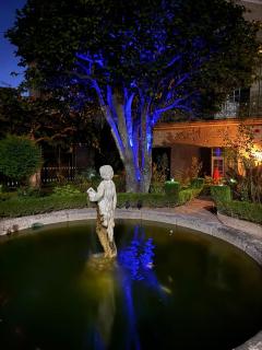 Casa das Camélias - Gouveia - 6
