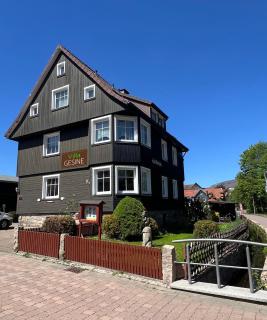 Villa Gesine - Braunlage - 0