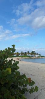 Apartamento nuevo Cap Cana - Punta Cana - 8