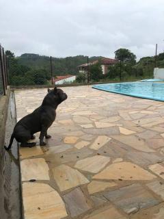 Chácara Sossego São Francisco - 6