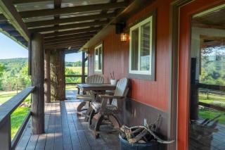 Peaceful Cabin-Breathtaking Views near Branson, MO - Walnut Shade - 8