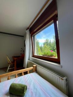 The Wood Nest Apartment - Borovnica - 7