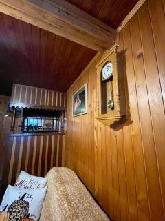 The Wood Nest Apartment - Borovnica - 4