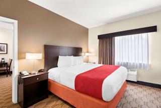 Best Western Palmyra Inn & Suites - Palmyra - 5