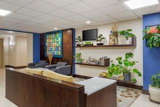 Best Western Plus Berkshire Hills Inn & Suites - Pittsfield - 4