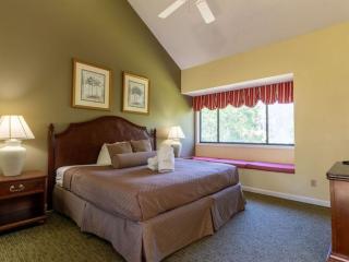 Spinnaker at Shipyard - 8