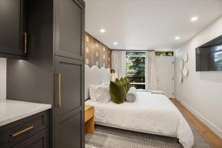 Le Clairvaux Unit 8, 2BD Newly Remodeled Condo in Downtown Aspen - 3