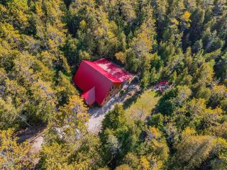 Forest Cabin By National Park & Tobermory - Tobermory - 0