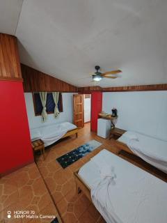 Hotel Don Quichotte - 8