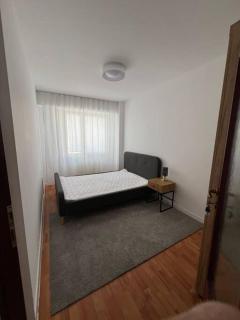 Cozy apartment in Marasti -Cluj - Cluj-Napoca - 3